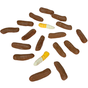 Milk Chocolate coated Witchetty Grub lollies