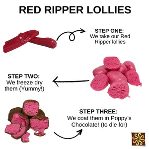 Poppy's Chocolate Chocolate Coated Freeze Dried Red Ripper