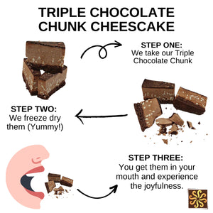 Freeze Dried Cheesecake Triple Chocolate Chunk