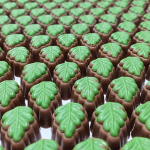 Poppy's Chocolate Gourmet Chocolate Kiwi Fruit Luxury Handmade Chocolate lollies