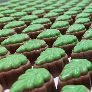 Poppy's Chocolate Gourmet Chocolate Kiwi Fruit Luxury Handmade Chocolate lollies