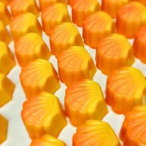 Poppy's Chocolate Gourmet Chocolate Pine lime Luxury Handmade Chocolate lollies