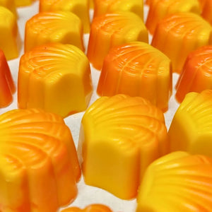 Poppy's Chocolate Gourmet Chocolate Pine lime Luxury Handmade Chocolate lollies