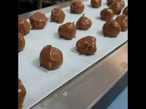 Milk Chocolate Coated Freeze Dried Lychees 100g