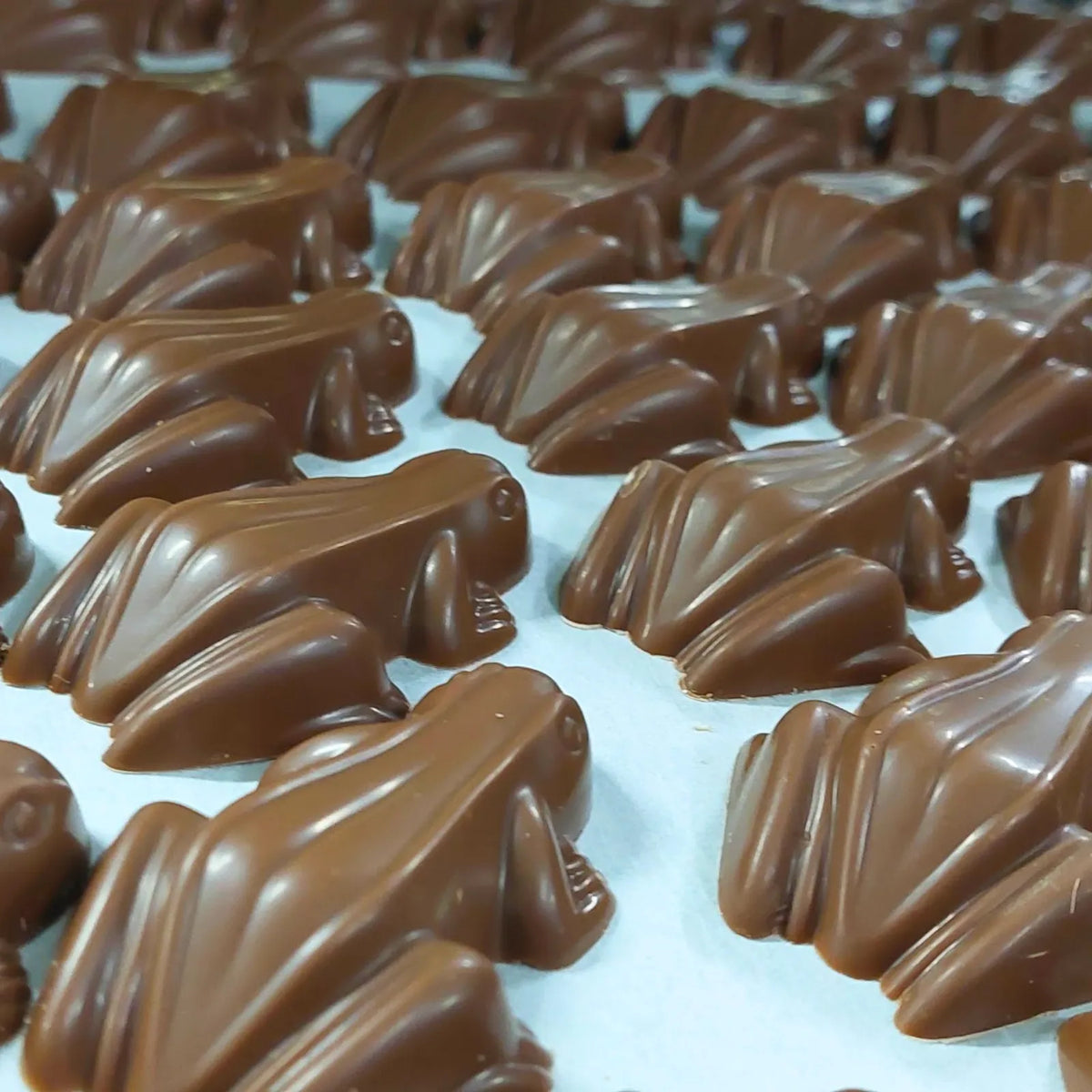 Poppy's Chocolate Chocolate Frogs Caramel Filled Luxury Handmade Chocolate lollies