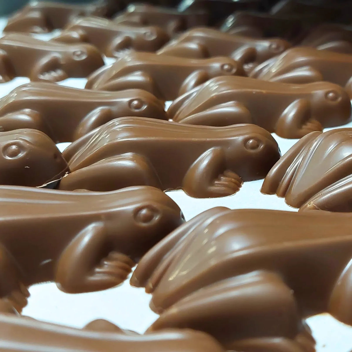 Poppy's Chocolate Chocolate Frogs Caramel Filled Luxury Handmade Chocolate lollies