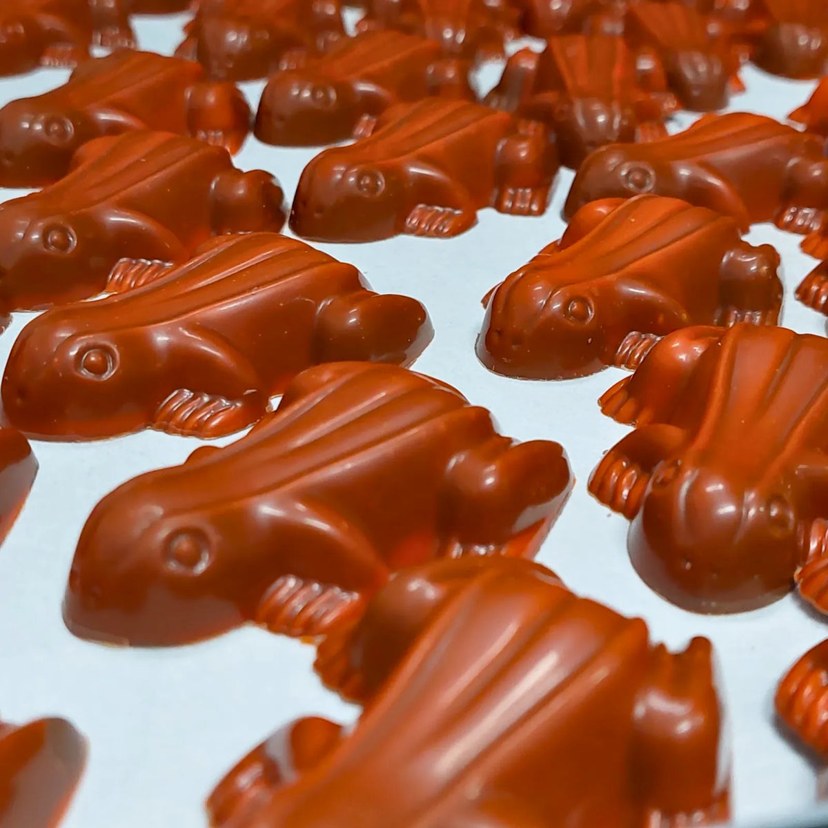 Poppy's Chocolate Chocolate Frogs Jaffa Orange Filled 2 Pack Luxury Handmade Chocolate Lollies