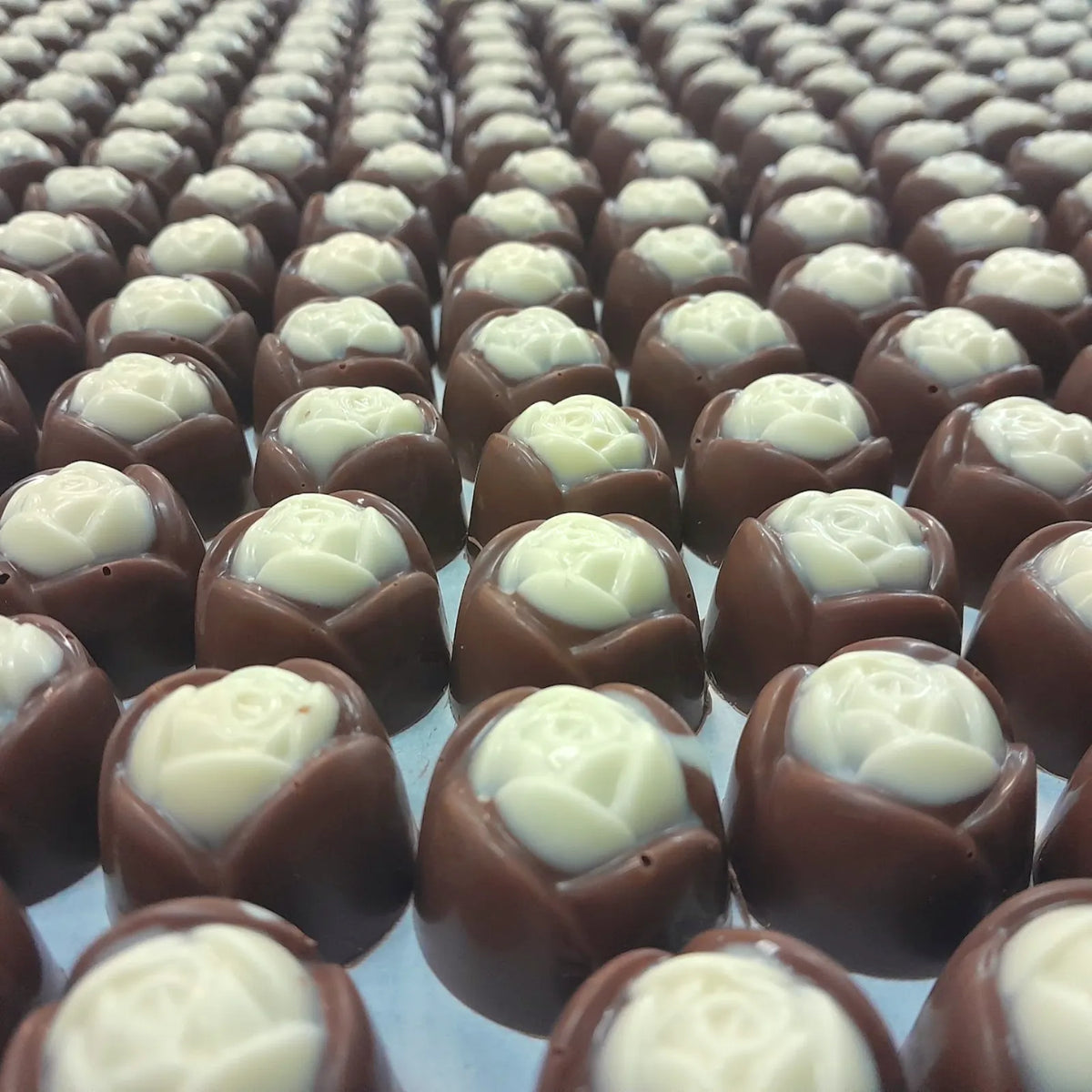 Poppy's Chocolate Gourmet Chocolate Hazelnut Rose Luxury Handmade Chocolate lollies