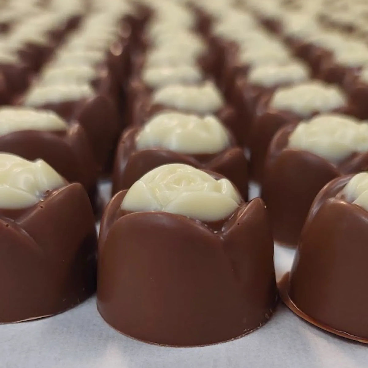 Poppy's Chocolate Gourmet Chocolate Hazelnut Rose Luxury Handmade Chocolate lollies