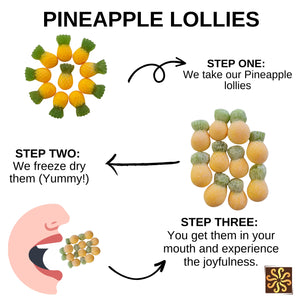 Freeze Dried Pineapple Lollies