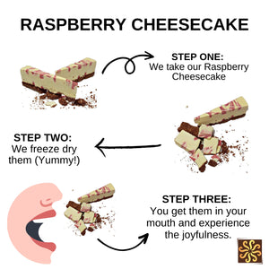Freeze Dried Cheesecake Raspberry