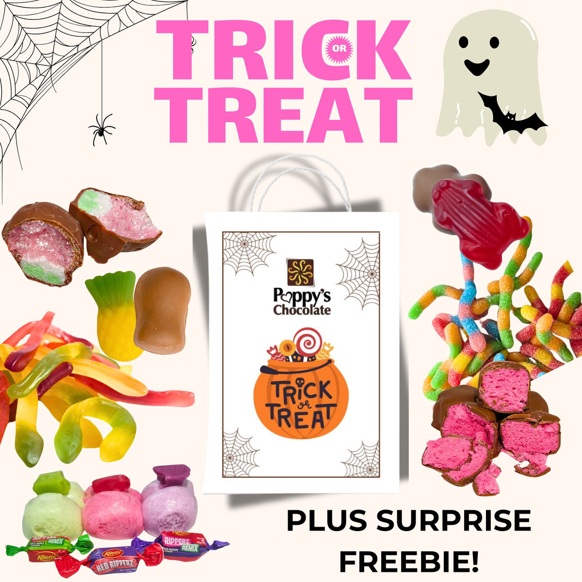 Trick or Treat Bag