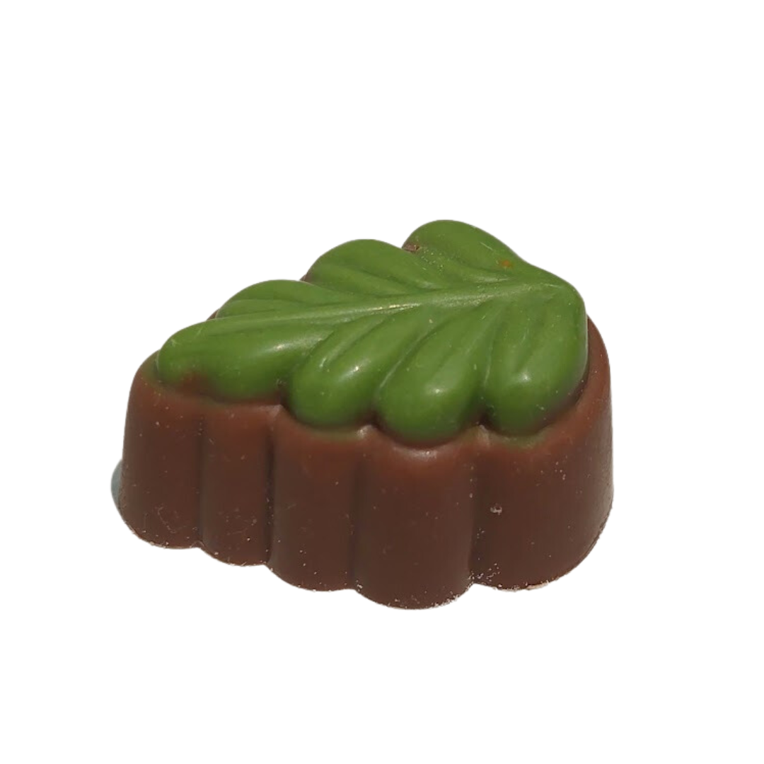 Kiwi Fruit