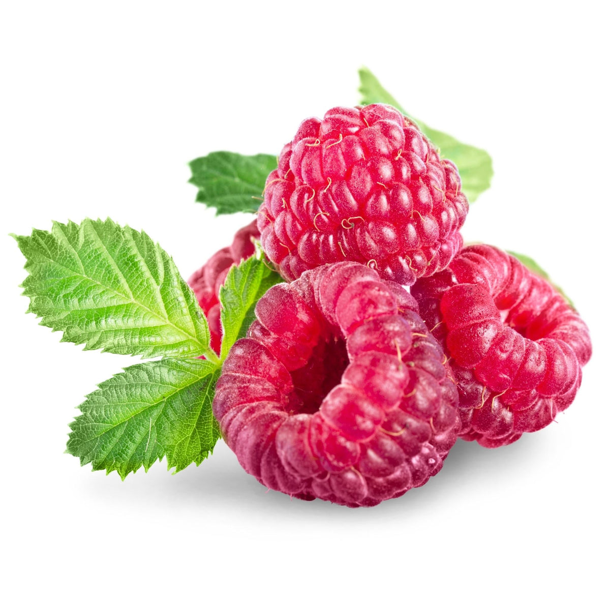 Freeze Dried Raspberries Snack Pack 15g