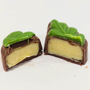 Poppy's Chocolate Gourmet Chocolate Kiwi Fruit Luxury Handmade Chocolate lollies