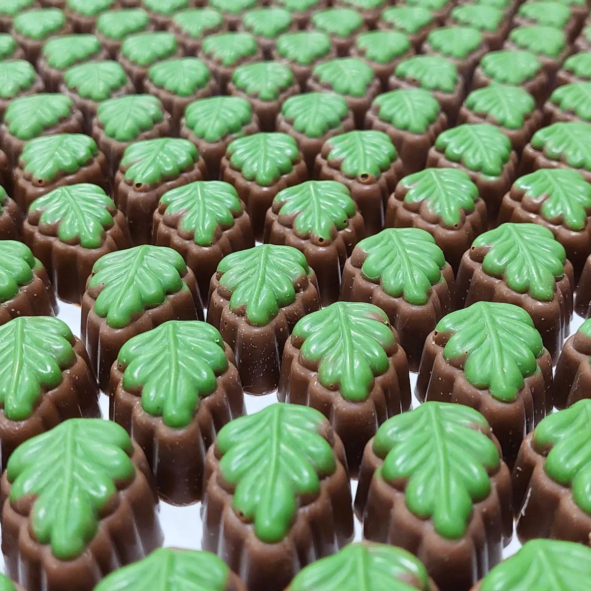 Poppy's Chocolate Gourmet Chocolate Kiwi Fruit Luxury Handmade Chocolate lollies