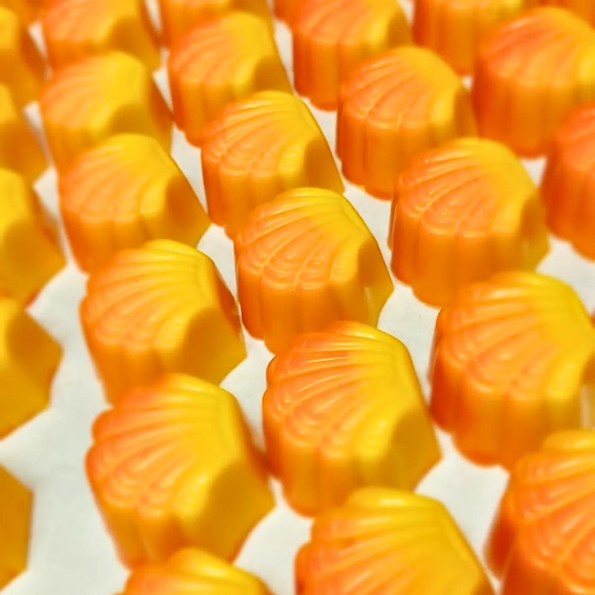 Poppy's Chocolate Gourmet Chocolate Pine lime Luxury Handmade Chocolate lollies