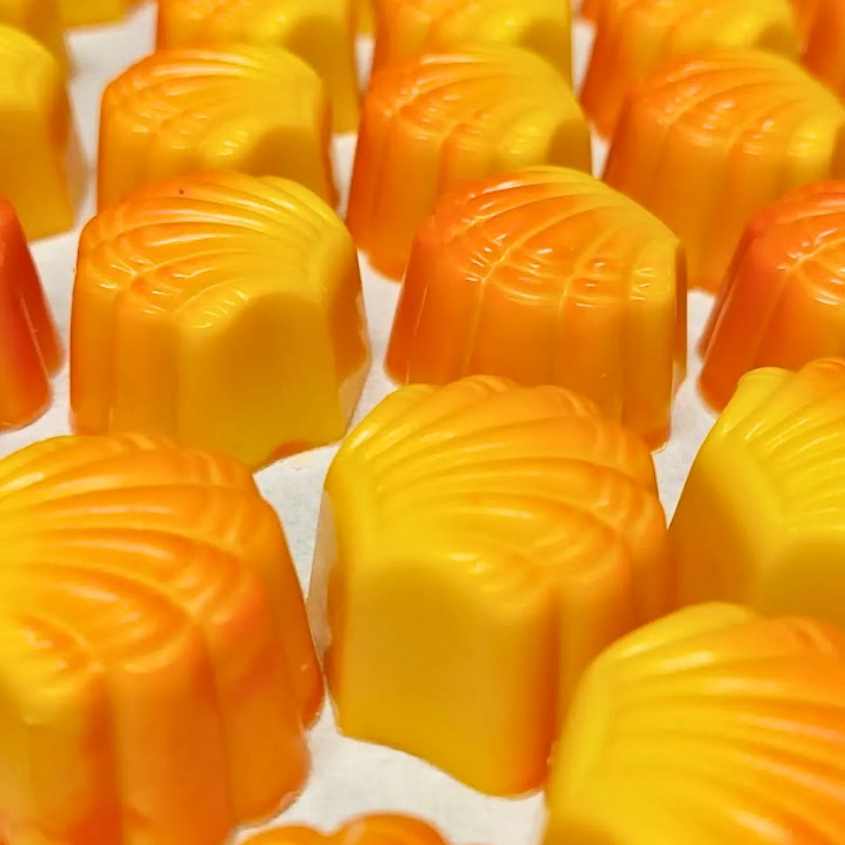 Poppy's Chocolate Gourmet Chocolate Pine lime Luxury Handmade Chocolate lollies