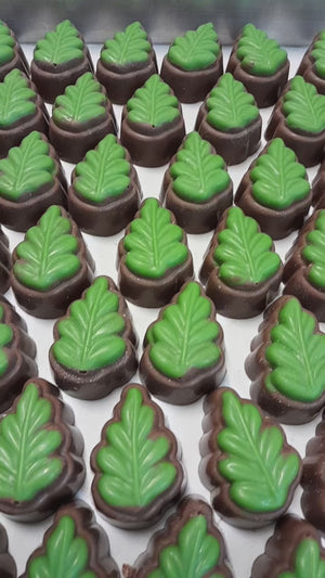 Poppy's Chocolate Gourmet Chocolate Kiwi Fruit Luxury Handmade Chocolate lollies