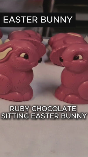 Ruby Chocolate Sitting Easter Bunny
