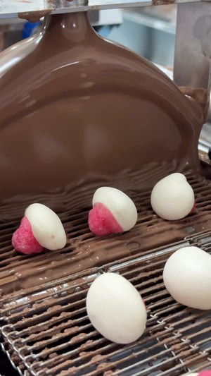 Frochies Strawberry and Cream chocolate coated freeze dried candy lollies