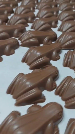 Poppy's Chocolate Chocolate Frogs Caramel Filled Luxury Handmade Chocolate lollies