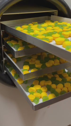 Frochies Pineapple chocolate coated freeze dried candy lollies