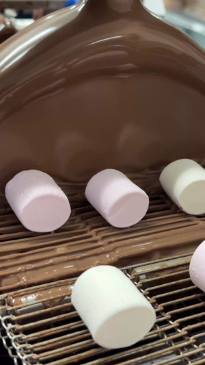 Chocolate Coated Pink and White Marshmallows 150g