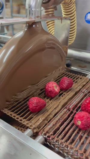 Milk Chocolate coated Freeze dried Strawberries 100g
