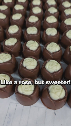 Hazelnut Rose