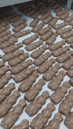 Milk Chocolate Easter Bunnies 12 Pack