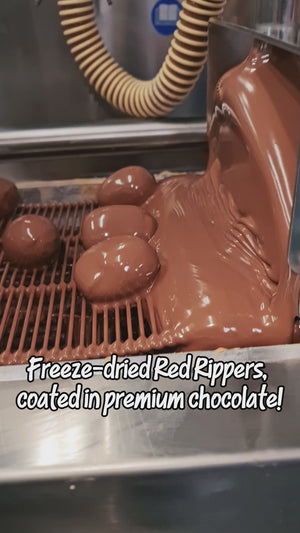 Frochies Red Ripper chocolate coated freeze dried lollies
