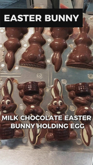 Milk Chocolate Easter Bunny Holding Egg Large