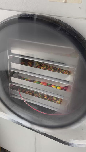 Freeze Dried Rainbow Crunch Lollies Candy - Made with genuine Skittles