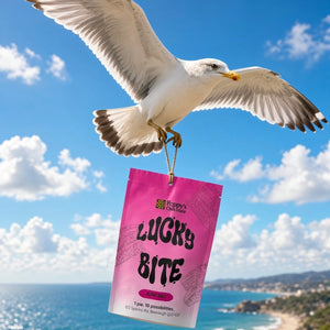 A seagull in flight holds a pink bag labeled 'Lucky Bite' against a bright blue sky and ocean background. The bag appears to be the product being sold, with the bird serving as a dramatic lifestyle-style prop scene.