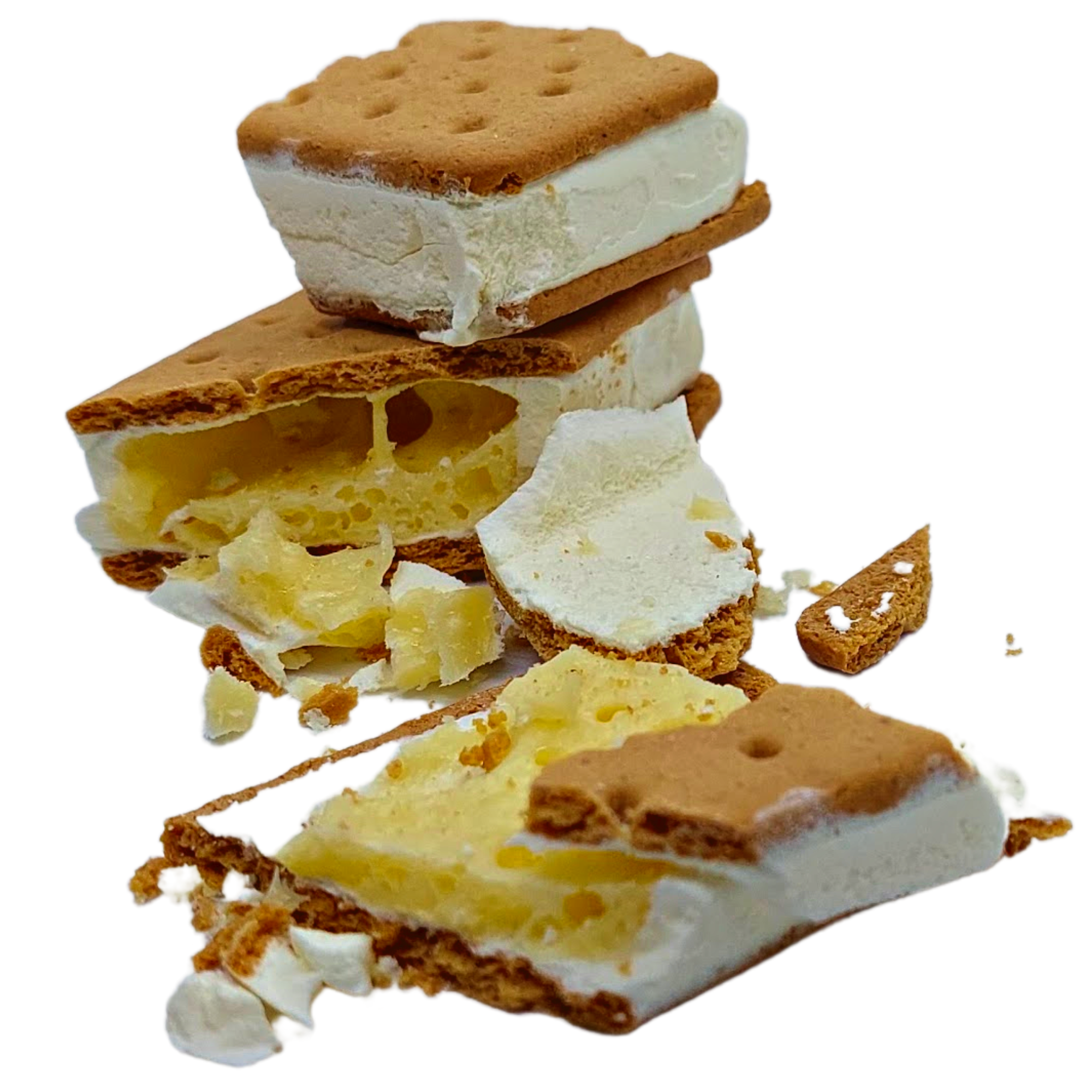 Freeze Dried Ice Cream Sandwich Vanilla