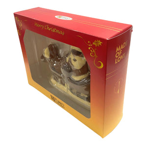 Santa in Sleigh